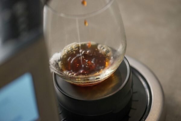 Breville Precision Brewer Drip Coffee Maker Review Perfect Brew Modes and Customization Breville Precision Brewer Drip Coffee Maker Review Perfect Brew Modes and Customization